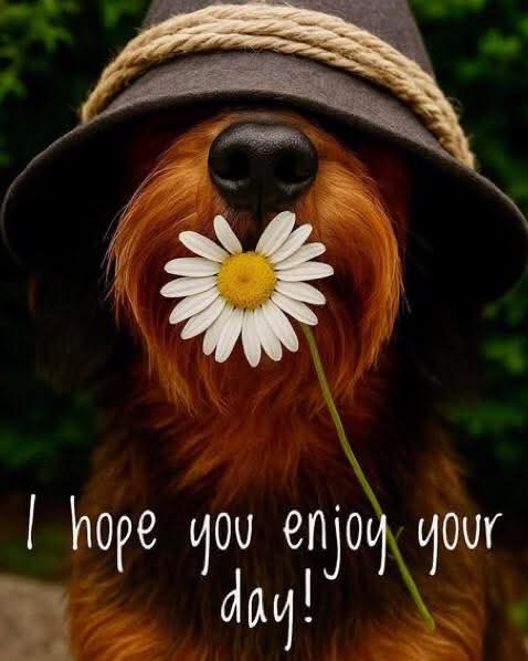 Morning all, I hope Thursday treats you kindly. 💙❤️💙