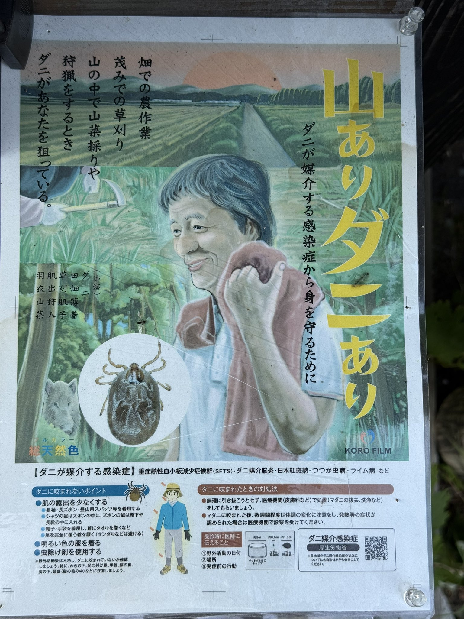 Okuyama, Masashi ┃奥山真司 (@masatheman) / X