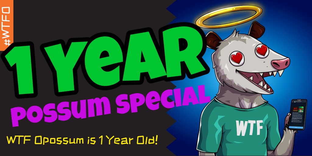 WTF Opossum #WTFO tweet media