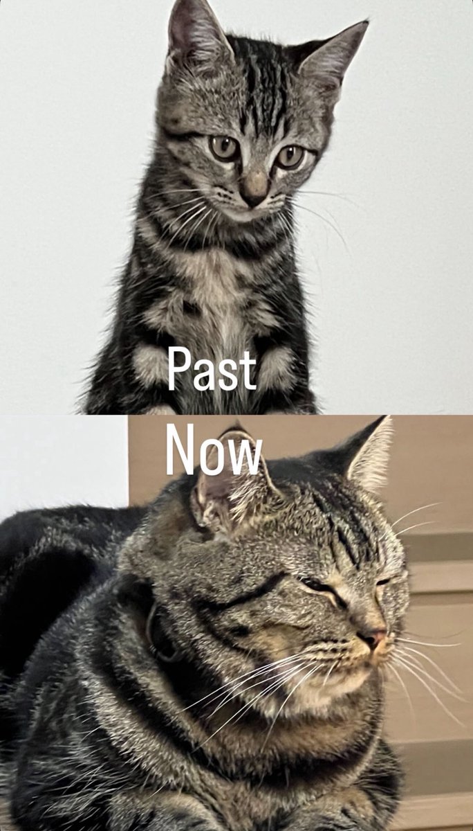 IGs updated [31072025] โตไวมาก

#BuildJakapan <a href="/JakeB4rever/">BIU.</a> 
#Beyourluve