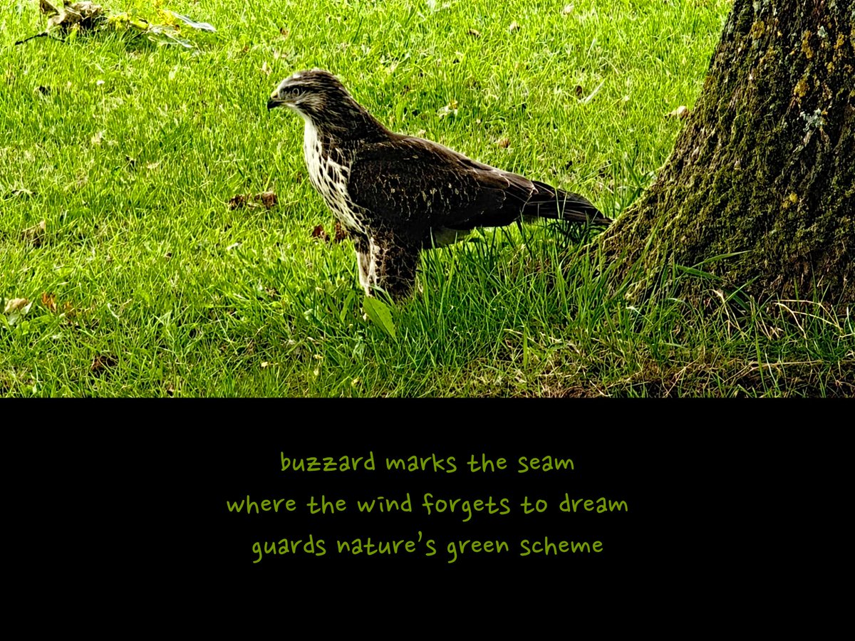 GM,

beauty everywhere