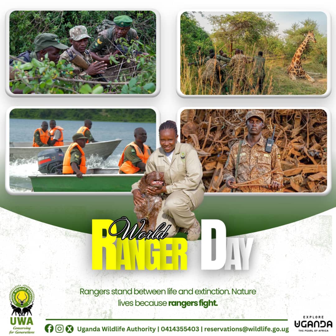 #WorldRangerDay2025