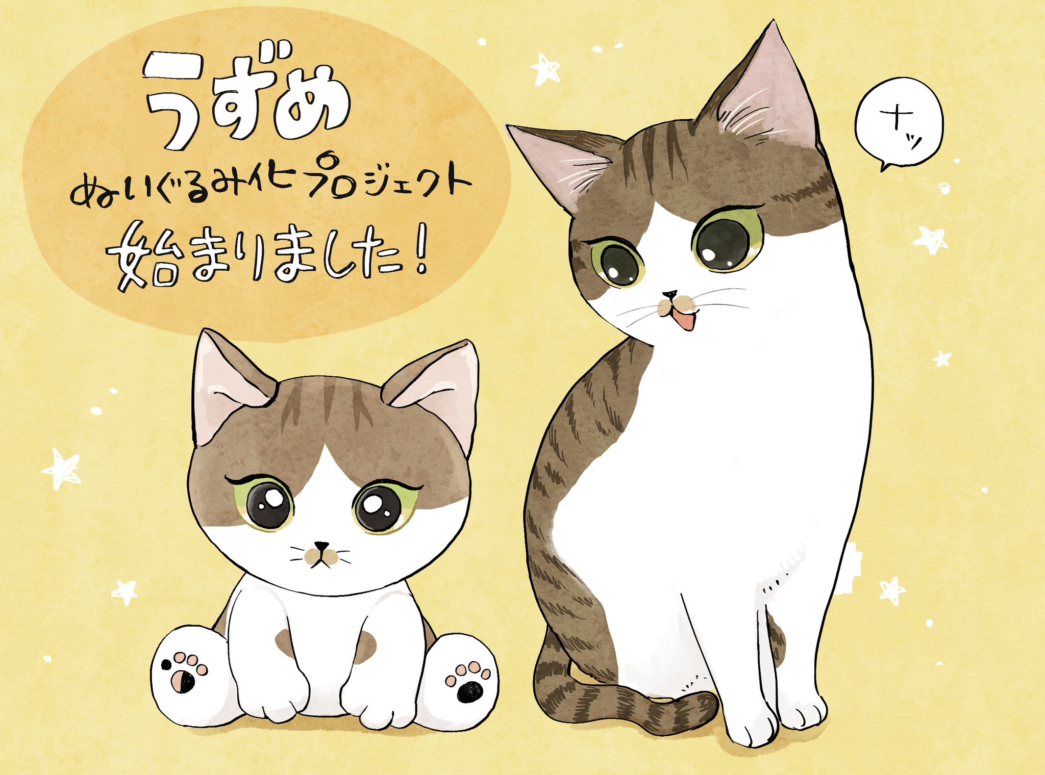 週休8日の猫吸い (@8VA64ArRkX7nOHE) / X