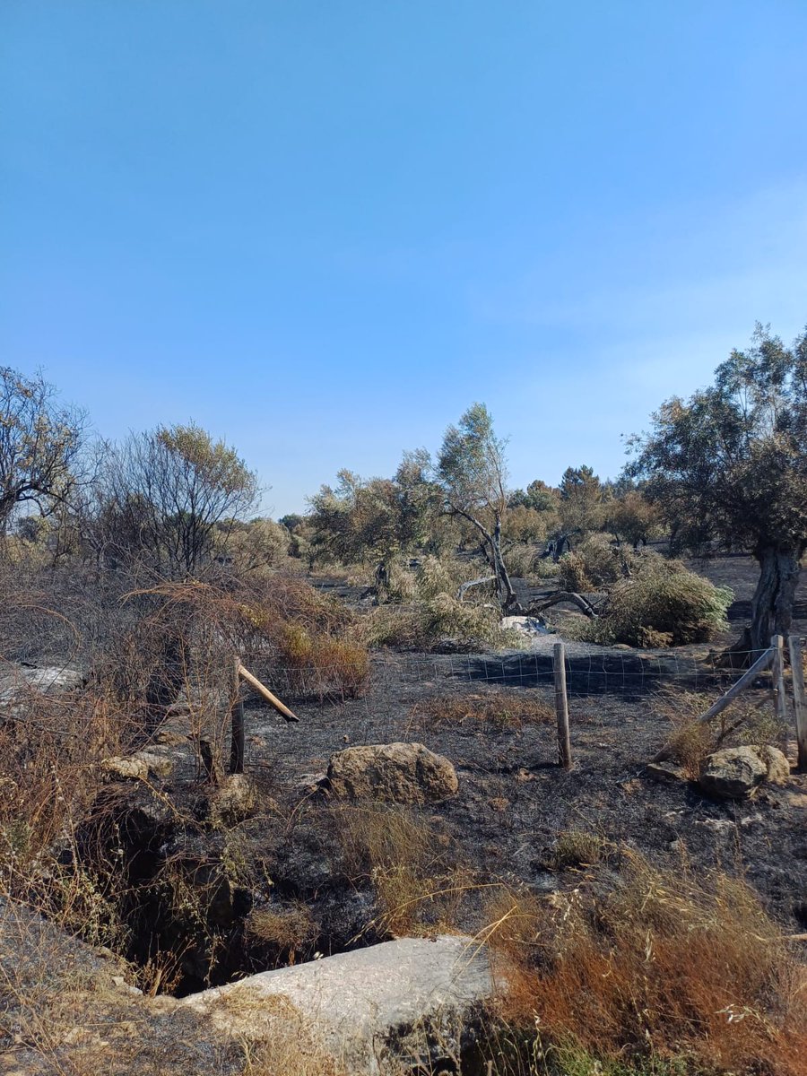 Sarah 🐈‍⬛ tweet media