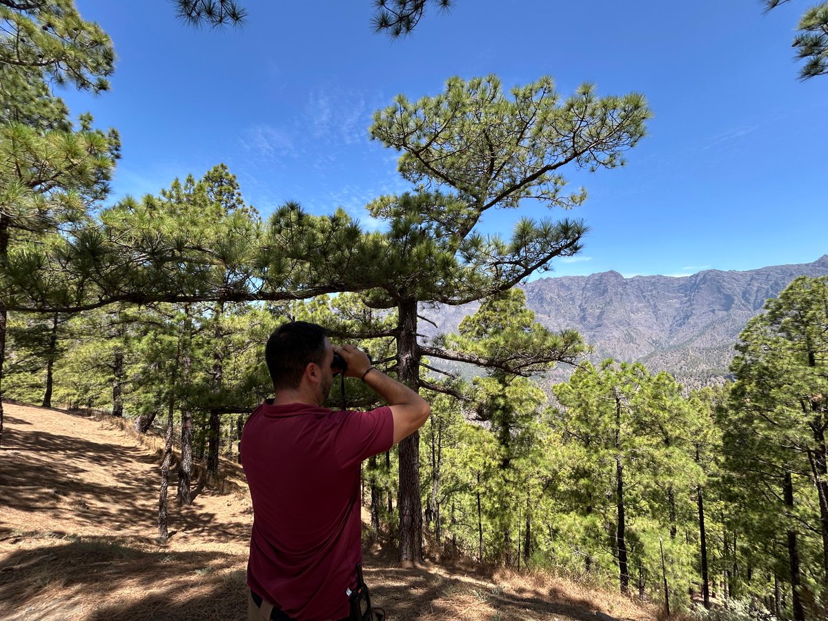 ElTimeLaPalma's tweet photo. Los «guardianes» del corazón palmero celebran su día: “Lo que no se conoce, no se cuida” 
#LaPalma #calderadetaburiente #MedioAmbiente #GuardaForestal  

 https://t.co/jqawgnmJOp https://t.co/yd4emBEhZY