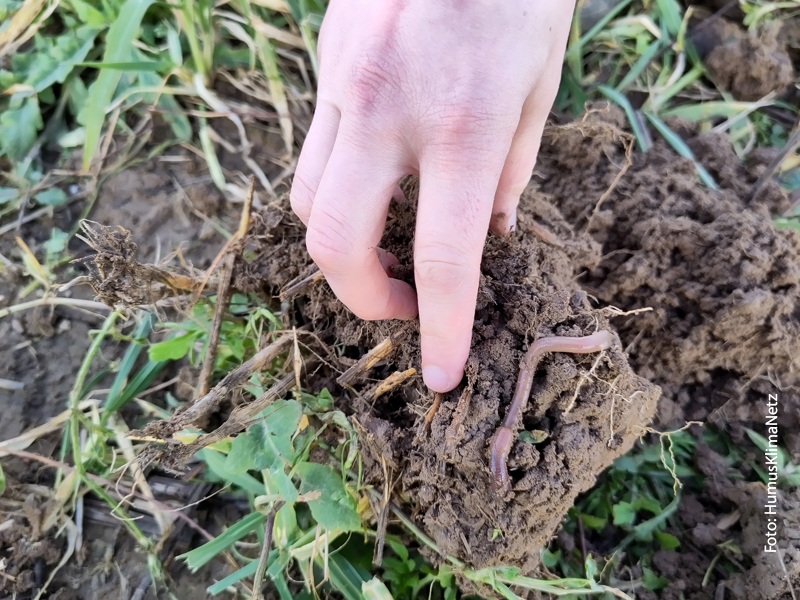 FNR (@fnr_ev) on Twitter photo Wir übernehmen ab morgen die Projektträgerschaft für das Bundesprogramm #Humus des <a href="/BMLEH_Bund/">BMLEH Landwirtschaft · Ernährung · Heimat</a>. Es zielt darauf ab, das Potenzial landwirtschaftlicher Böden als #Kohlenstoffspeicher stärker zu nutzen. Der erste Förderaufruf folgt in Kürze. fnr.de/presse/pressem… Wir übernehmen ab morgen die Projektträgerschaft für das Bundesprogramm #Humus des <a href="/BMLEH_Bund/">BMLEH Landwirtschaft · Ernährung · Heimat</a>. Es zielt darauf ab, das Potenzial landwirtschaftlicher Böden als #Kohlenstoffspeicher stärker zu nutzen. Der erste Förderaufruf folgt in Kürze. fnr.de/presse/pressem…