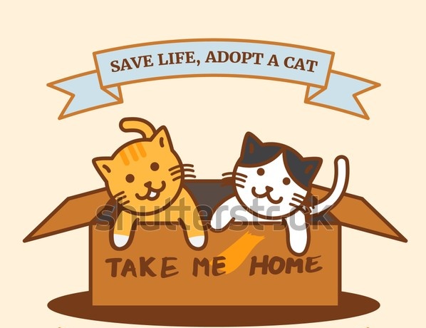 🙏🏻🥰🥰🥰🏠🙏🏻🐾