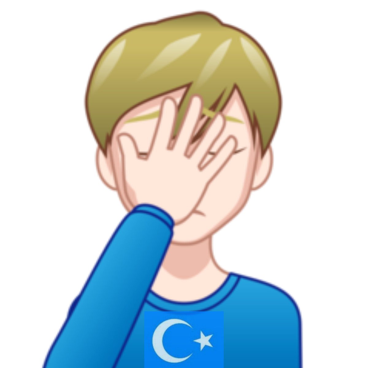 Erhan_ysf's tweet photo. #SaveTurkistan https://t.co/Wy9Syx0TIO
