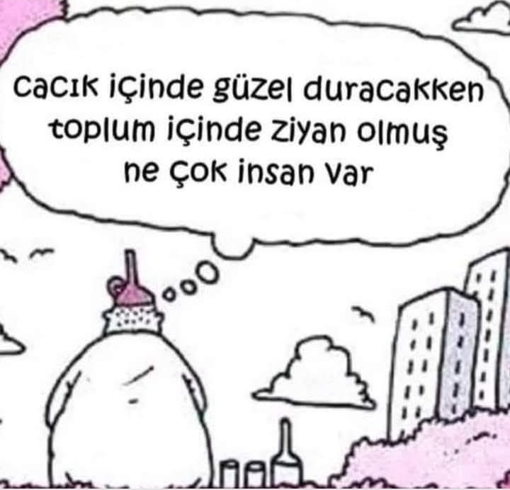 heçç