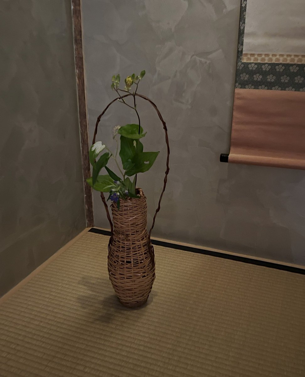 Mat_Cha_Doh's tweet photo. [小間の茶室で究極の美に触れる] 茶人・土井宗満が誘う「わび茶」の世界

余計なもの一切をそぎ落とした美の世界
小間の茶室で最高の一服を体験

https://t.co/2xsHWHXPI5
⁠
#茶道 #茶事 #お茶のある暮らし #抹茶道 https://t.co/zK1RMDL6Zi