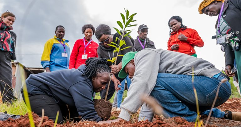 CIFOR-ICRAF (@cifor_icraf) on Twitter photo In Laikipia, Kenya, farmers are boosting restoration through training in tree planting, agroforestry & quality seed use.
Led by CIFOR-ICRAF via TerraFund for #AFR100 & the <a href="/BezosEarthFund/">Bezos Earth Fund</a>, the project builds resilient landscapes & livelihoods.
🔗: bit.ly/4lTj4O6 In Laikipia, Kenya, farmers are boosting restoration through training in tree planting, agroforestry & quality seed use.
Led by CIFOR-ICRAF via TerraFund for #AFR100 & the <a href="/BezosEarthFund/">Bezos Earth Fund</a>, the project builds resilient landscapes & livelihoods.
🔗: bit.ly/4lTj4O6