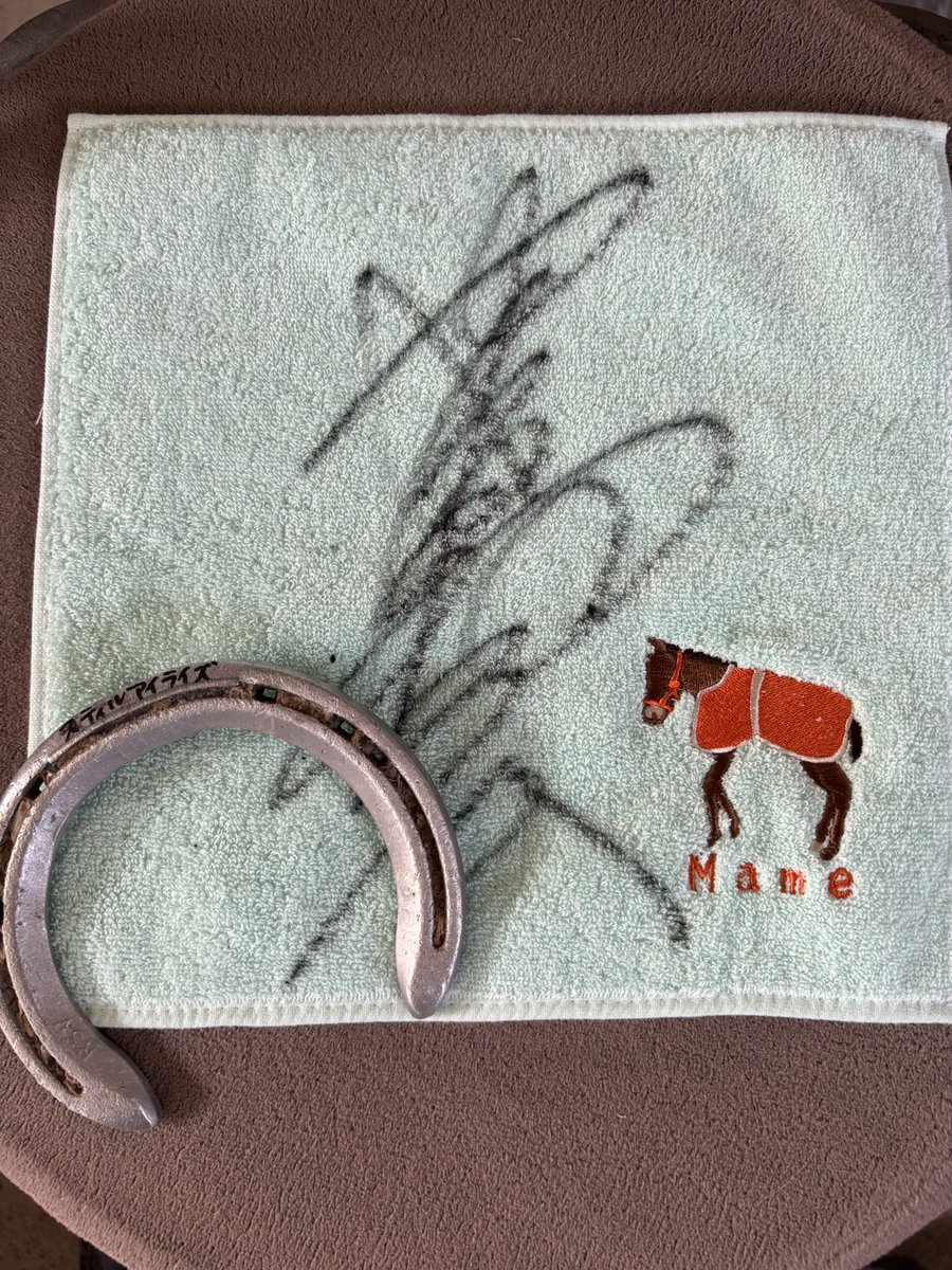 お疲れ様です

仔馬カメラ様のご厚意によりスティルアイライズ（まめちゃん）の蹄鉄とハンカチを一緒にプレゼントさせていただきます🎁

コメントいただいた中から一名様ですが、プレゼントします🥹
是非コメントください🥹