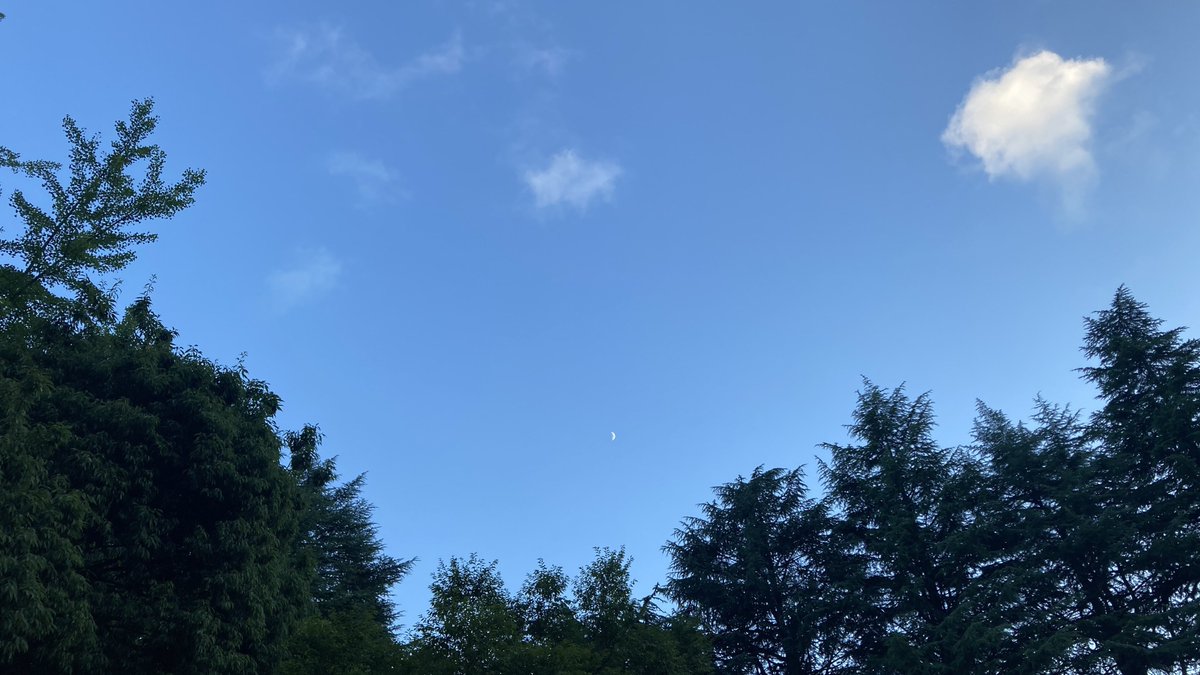 今日は晴れてたねぇ〜ｗ