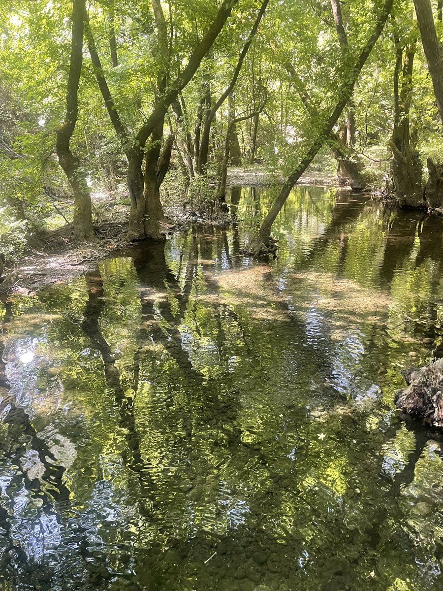 MattBateman8's tweet photo. Perfect spot for Breakfast today https://t.co/xxKhbexpUy