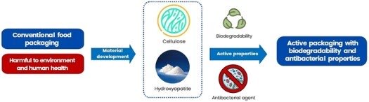 📢 Proud to announce that our second paper from the research collaboration 🧑‍🔬 with Prof. Yana Cahyana from <a href="/unpad/">Universitas Padjadjaran</a> in Thailand on #green #composites for #FoodPackaging is now published in open access <a href="/WeAreTandF/">Taylor & Francis</a>. Take a free look on 👇:

tandfonline.com/doi/full/10.10…