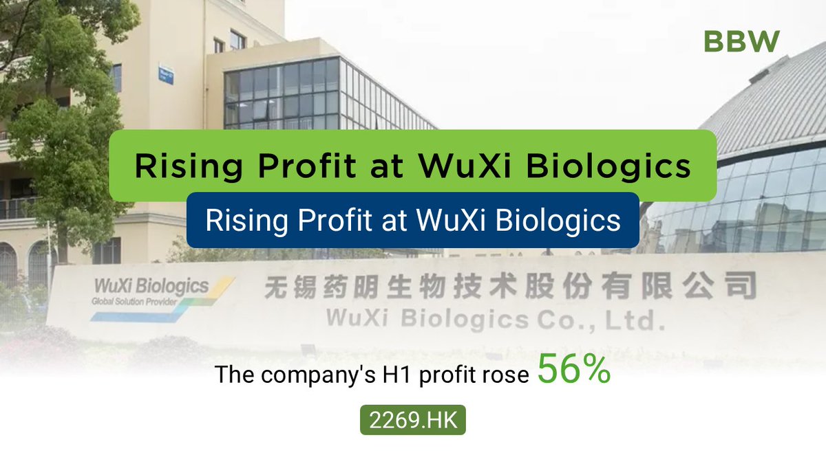 The provider of pharmaceutical services has joined other flagship companies in the WuXi group in projecting stronger first-half earnings after a couple of lean years thebambooworks.com/rising-profit-…