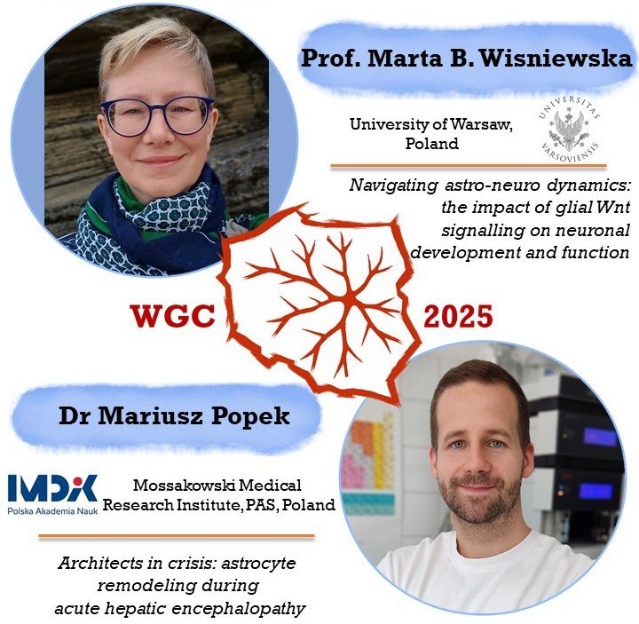 Meet the last of our amazing speakers at WGC! Professor Wiśniewska will take us on a journey through astro-neuro dynamics and how glial Wnt signaling shapes brain development, while Popek dives into astrocyte remodeling in acute hepatic encephalopathy. 
Don’t miss it! #WGC #GLIA
