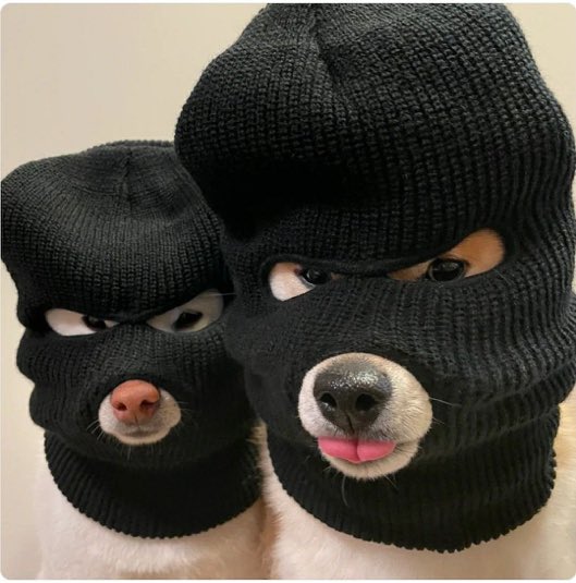 아씨ㅋ⫬ㅋ⫬ㅋ⫬ㅋ⫬ㅋ⫬ㅋ⫬ㅋ⫬ㅋ⫬ㅋ⫬ㅋ⫬ㅋ⫬ㅋ⫬ㅋ⫬ㅋ⫬ㅋ⫬ㅋ⫬ㅋ⫬ㅋ⫬ㅋ⫬ㅋ⫬ㅋ⫬ㅋ⫬ㅋ⫬ㅋ⫬ㅋ⫬ㅋ⫬ㅋ⫬ㅋ⫬ㅋ⫬ㅋ⫬ㅋ⫬ㅋ⫬ㅋ⫬ㅋ⫬ㅋ⫬ㅋ⫬ㅋ⫬ㅋ⫬ㅋ⫬ㅋ⫬ㅋ⫬ㅋ⫬ㅋ⫬ㅋ
두 똥강아지들 어띃할거야 ㅋ⫬ㅋ⫬ㅋ⫬ㅋ⫬ㅋ⫬ㅋ⫬ㅋ⫬ㅋ⫬ㅋ⫬ㅋ⫬ㅋ⫬ㅋ⫬
아 징차 너무 귀여워