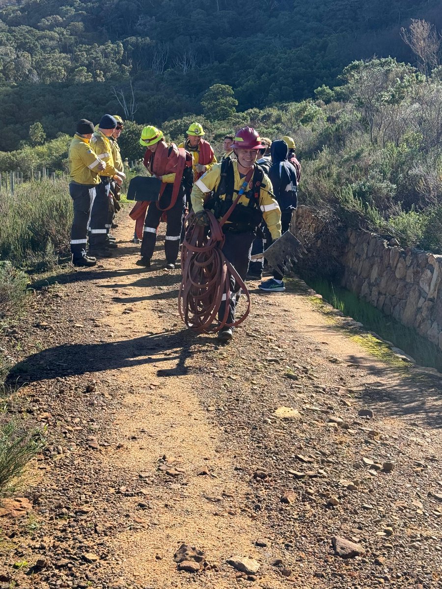 VWS Wildfires tweet media