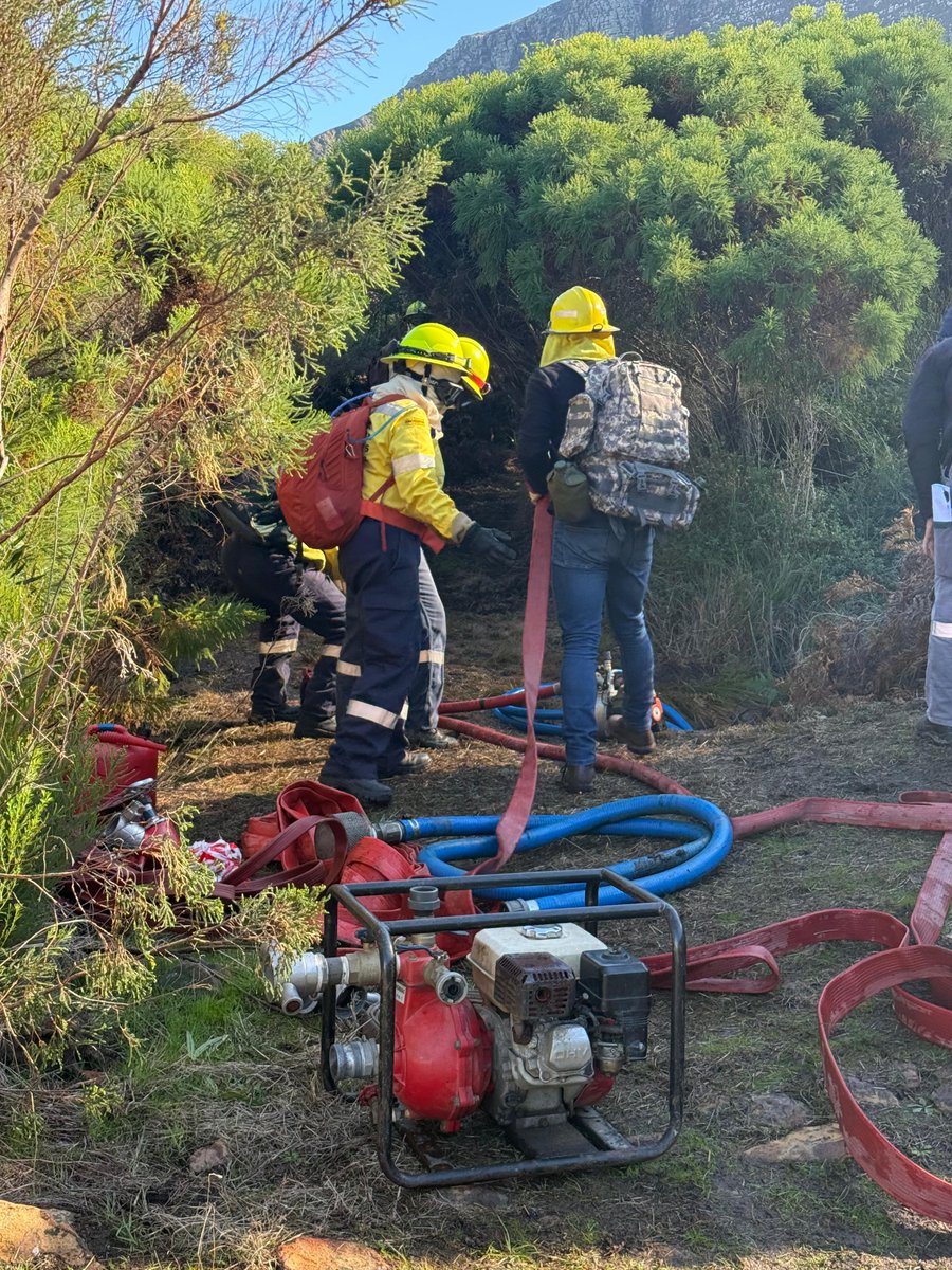 VWS Wildfires tweet media