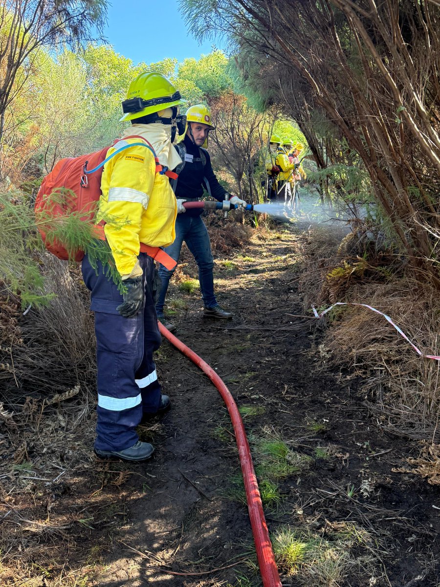 VWS Wildfires tweet media