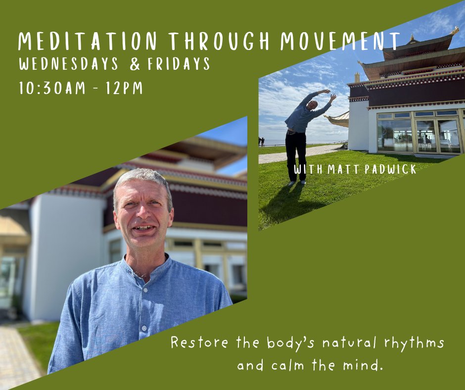 Join us tomorrow Friday 1st August from 10:30am to 12pm for a relaxing and rejuvenating meditation through movement with Matt.
Everyone is welcome, online booking available on our website: bit.ly/4jG6a45
#dzogchenbeara #meditation #kumnyeyoga #meditationthroughmovement