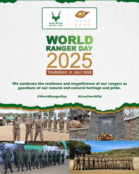 VOSTandalucia's tweet photo. Feliz #WorldRangerDay para nuestros compañeros Agentes Forestales y Medioambientales !! #Andalucia #112 #VOST #TeamVOST @VOSTSpain https://t.co/l6BQWhhxT8