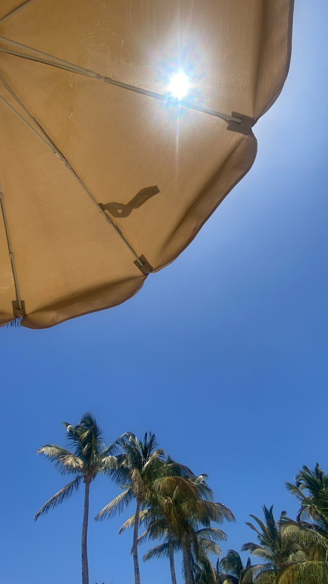 Emma Martinez 🏴🇪🇸 tweet media