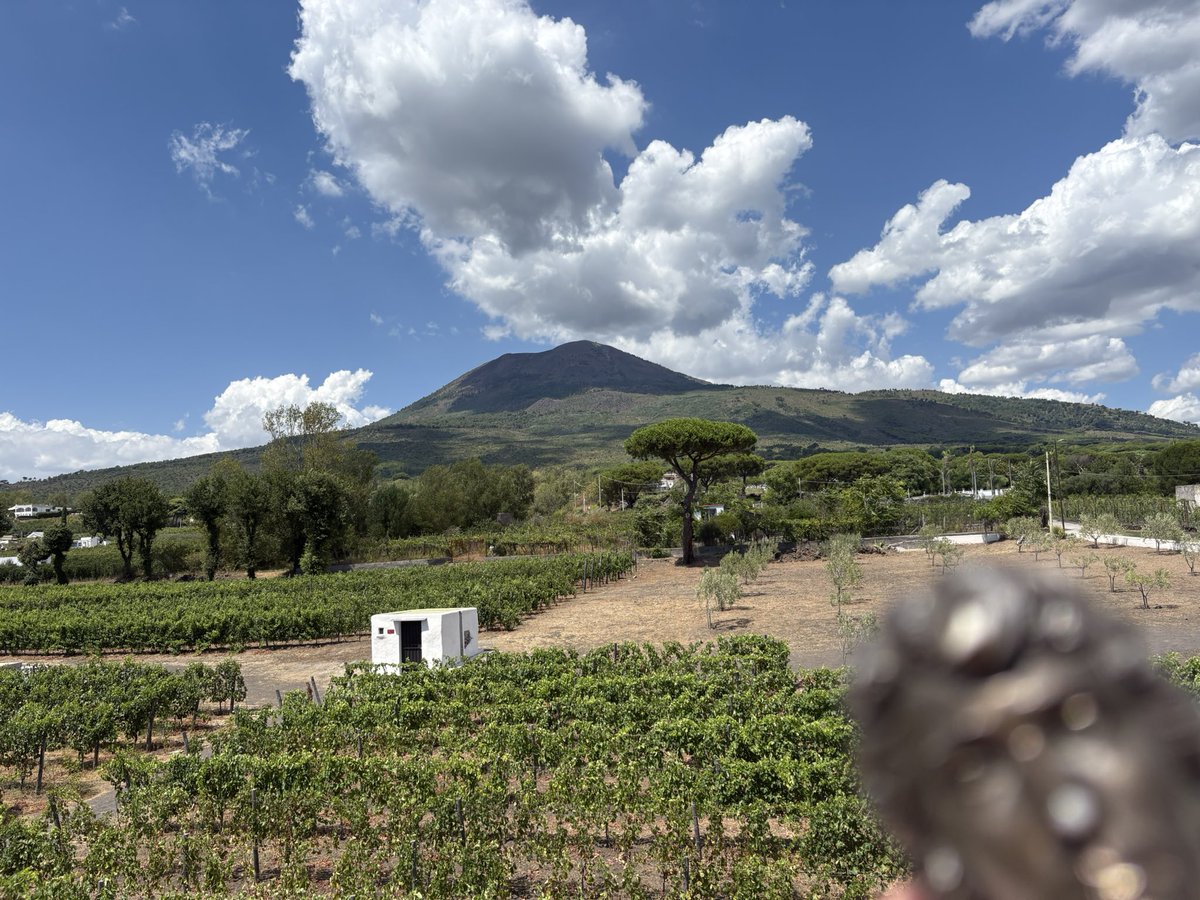 Imagine a farm on the slopes of Mt Vesuvius…<a href="/FrancisKey79/">Francis Scott Key</a> <a href="/FrancisSc0ttKey/">FrancisScottKey</a> #summertour25