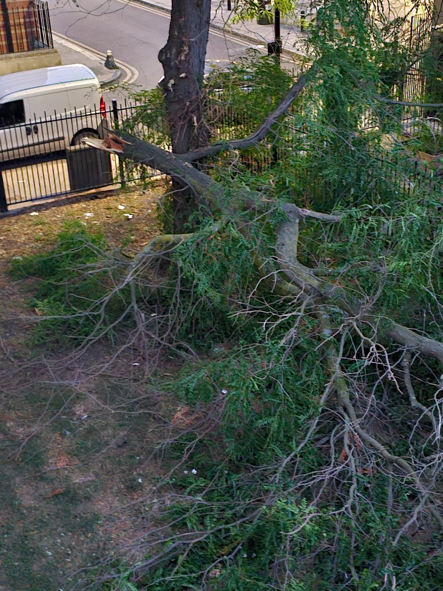 Michelle Lallaway tweet media