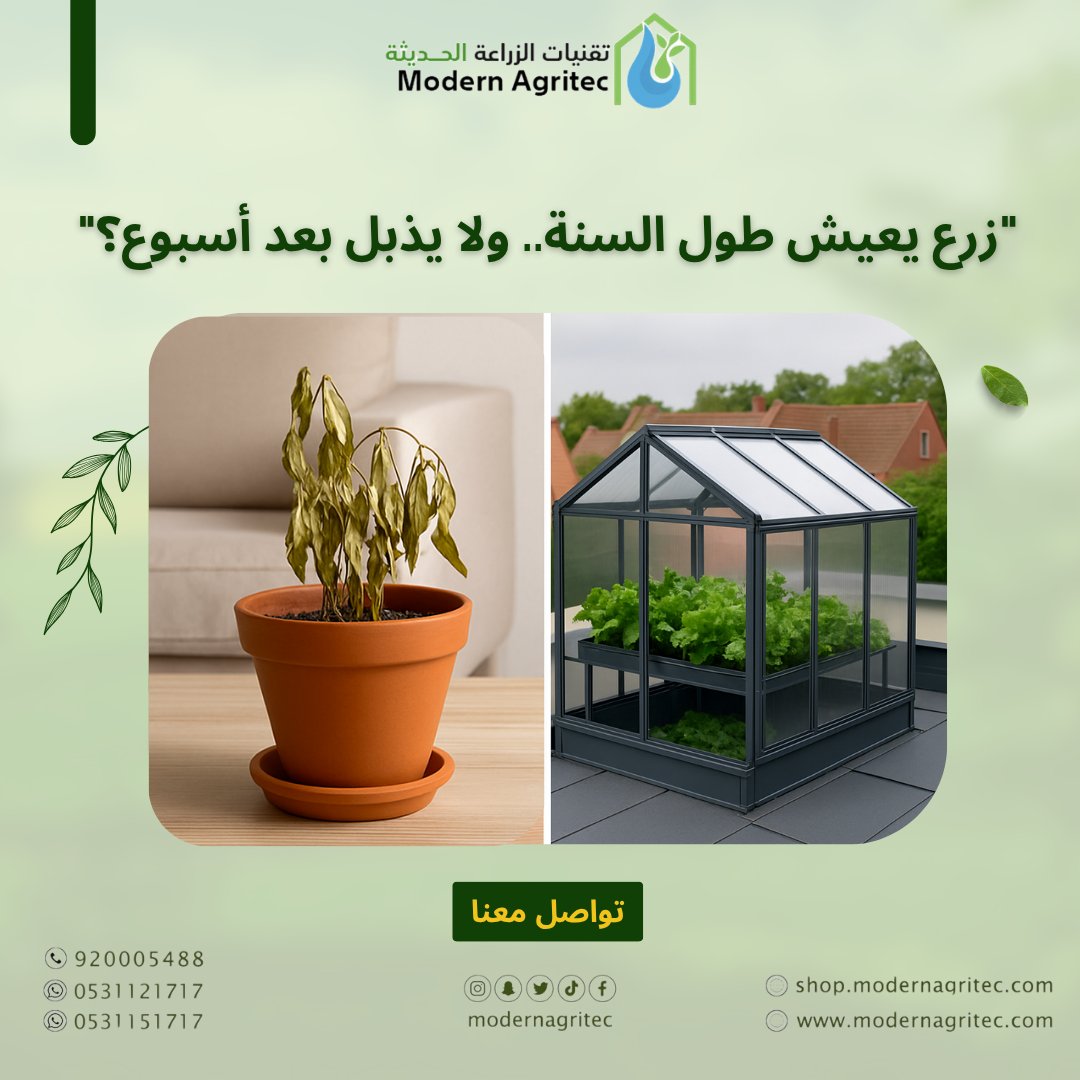 ModernAgritec's tweet photo. الفرق واضح!
الزراعة في البيت العادي = تعب ونبات يذبل بسرعة.
الزراعة في محمية منزلية = حماية من الحر والبرد والحشرات، ونباتات تعيش وتنتج طول السنة.
اختر الذكاء🌱

#الزراعة_الحديثة #محمية_منزلية #زراعة_ذكية
#الزراعة_المائية #مشروع_زراعي #الزراعة_الحديثة #بيوت_محمية #السعودية #جدة https://t.co/mH9HhjQztA