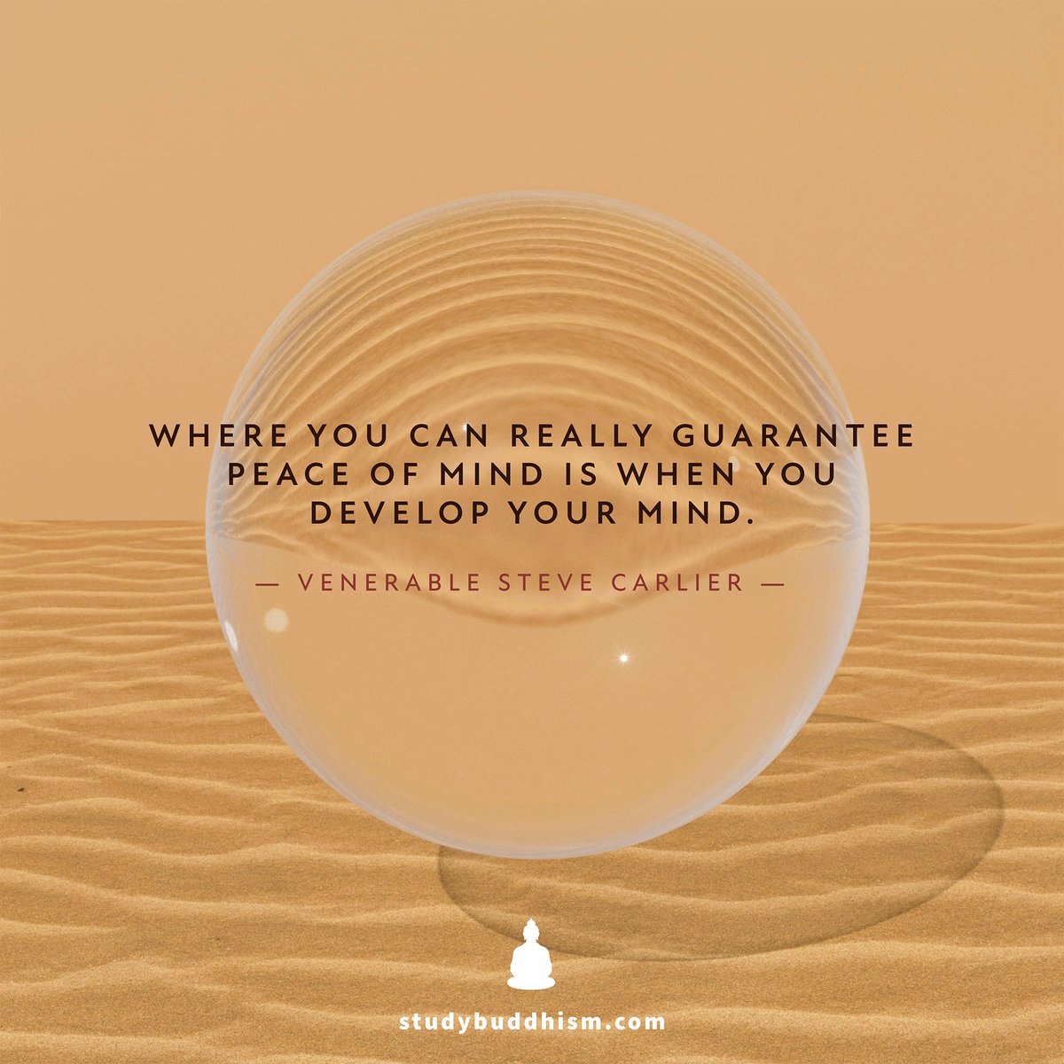 Where you can really guarantee peace of mind is when you develop your mind.
— Venerable Steve Carlier
