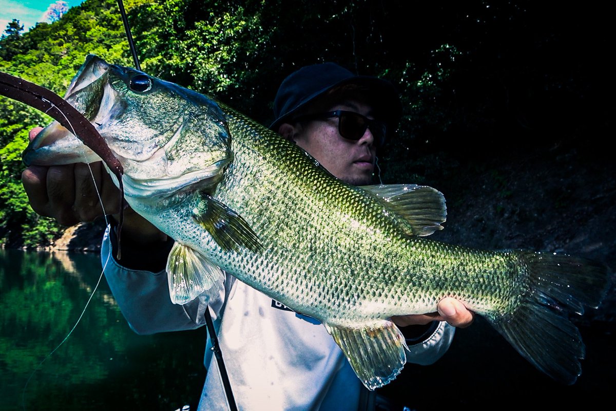 lifegraph_woody's tweet image. 真夏のMYSTIKテスト。

今回のお題は、ワームの耐久性向上。

文句なしのアクションは出ているので、更に使いやすさを高められないかと試行錯誤しています。
 
#3pct 
#MYSTIK 
#バスフィッシング 
#池原ダム 
#MYSTIK