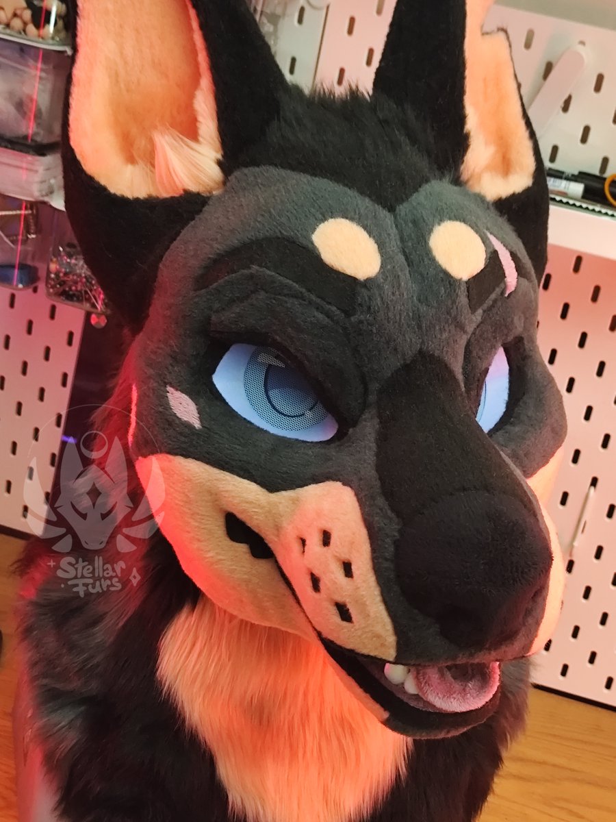 Dom the dobermann
Completed comm.⭐️