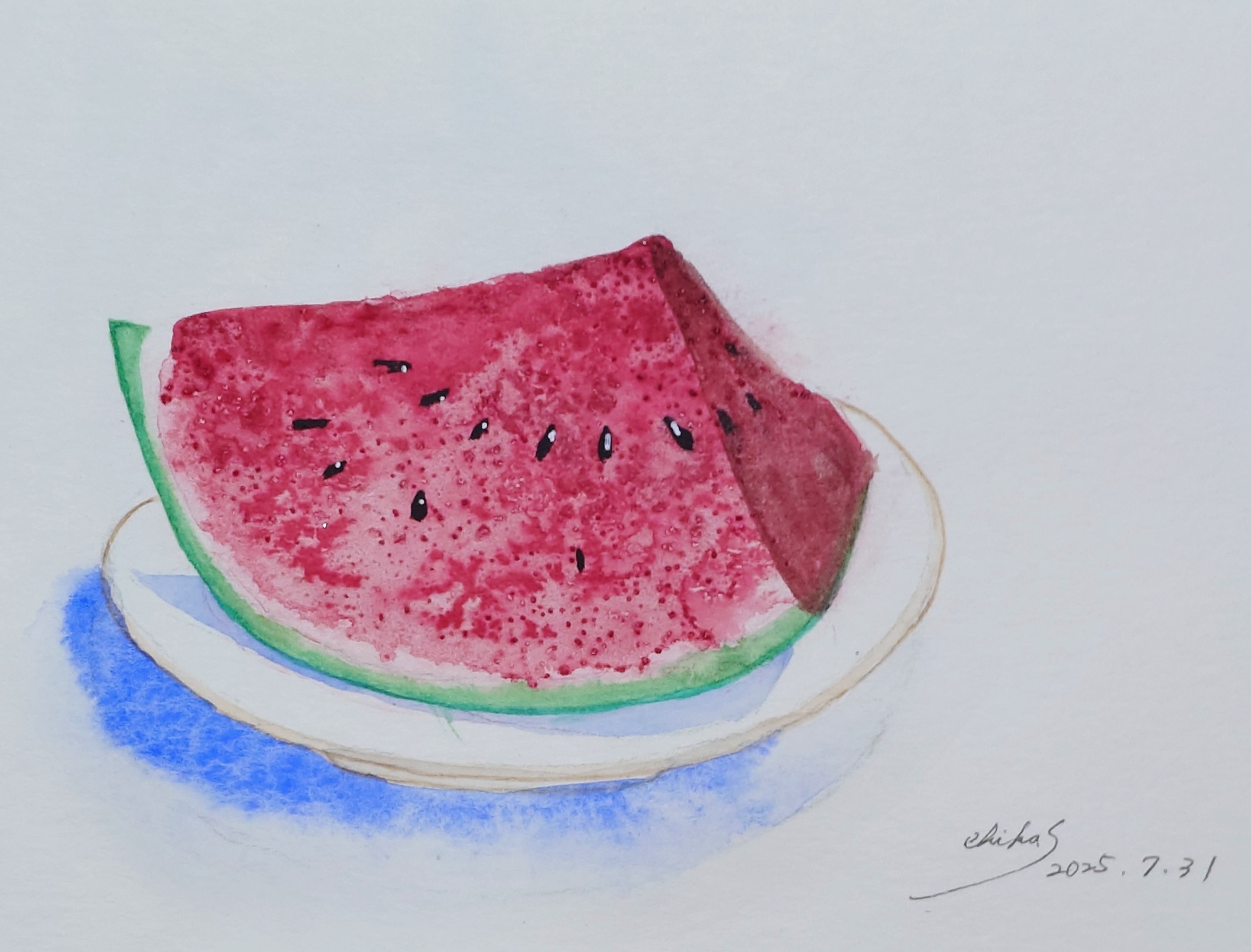 chica0726-cats&animals on X: 