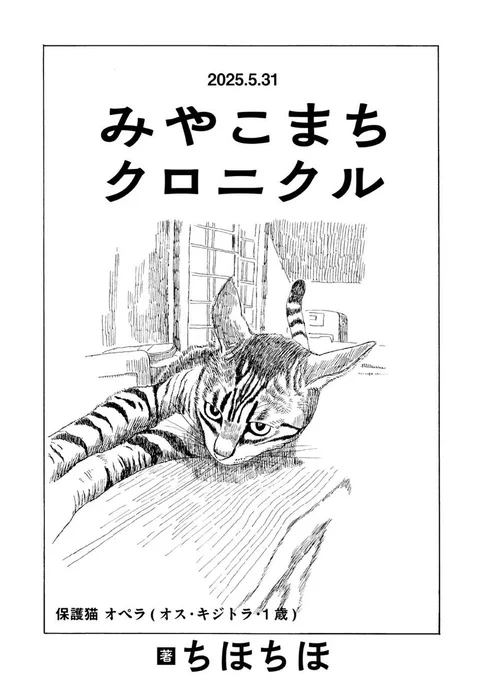 /
✨🐈最新話公開🐈✨
\

『みやこまちクロニクル/ちほちほ』
第40話を公開しました  @chihochiho7228 
https://t.co/PYWDB4rmae

変わりゆく宮古でのくらし。
閉店するお店もあれば、新たに迎える命も・・・
震災や父の介護を経た筆者がいま綴る、
二人と一匹による何気なくもあたたかい日々🏠🍵 