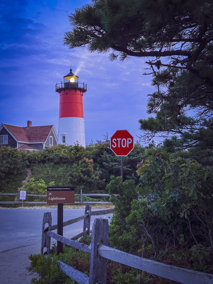 dariusaniunas's tweet image. 