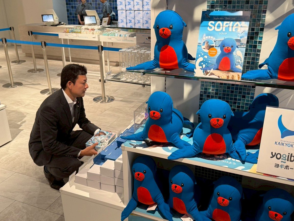 下関市の水族館「海響館」が明日の8月1日からリニューアルオープンです！
昨年の12月から改装工事で休館していましたが、この度、アシカ展示繁殖施設の「ひれあしビーチ」が整備されました。