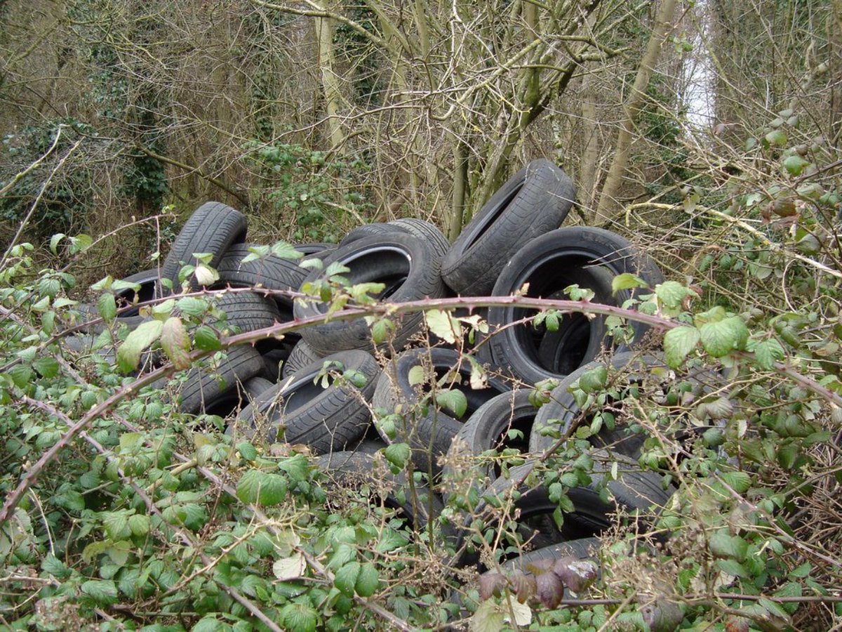 One Of The Worst Microplastic Offenders Isn’t Glitter Or Straws, But Your Tyres
2oceansvibe.com/2025/07/31/one…