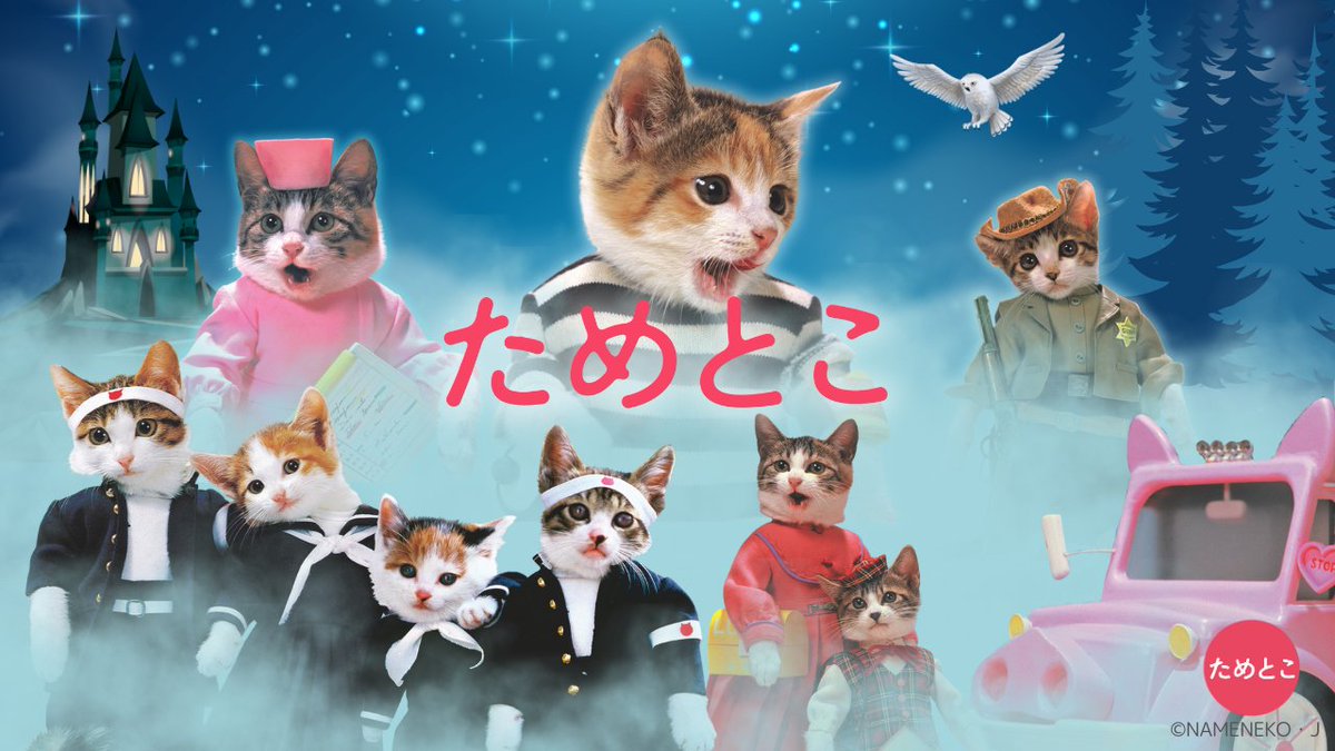 元祖なめ猫公式アカウント (@reiwa_nameneko) / Posts / X