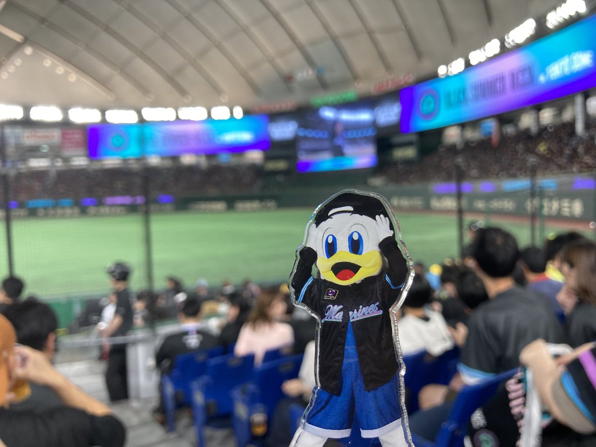 ぺーいしゃん🫑🕊️🐧⚽️⚾️。 tweet media