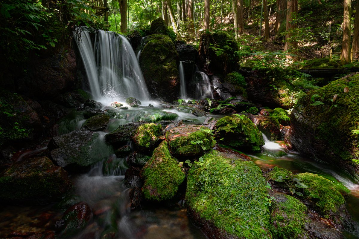 涼を求めて
#Nikon
#Z9
#gallery_no8
#私とニコンでみた世界