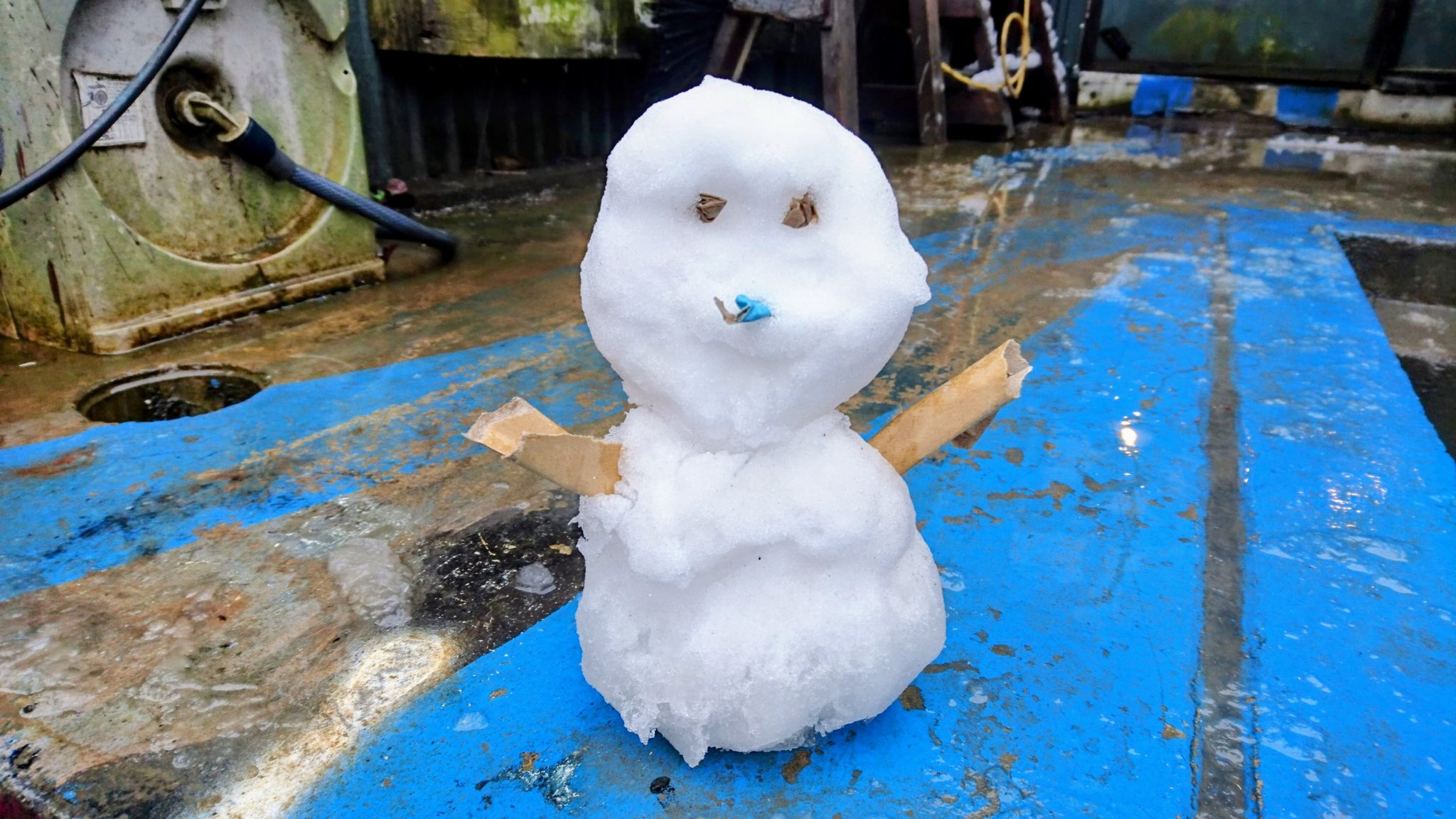 雪だるまさま専用ページ♡29日迄☆他の方購入不可 雪だるま🦖🩲🍅 on X: 