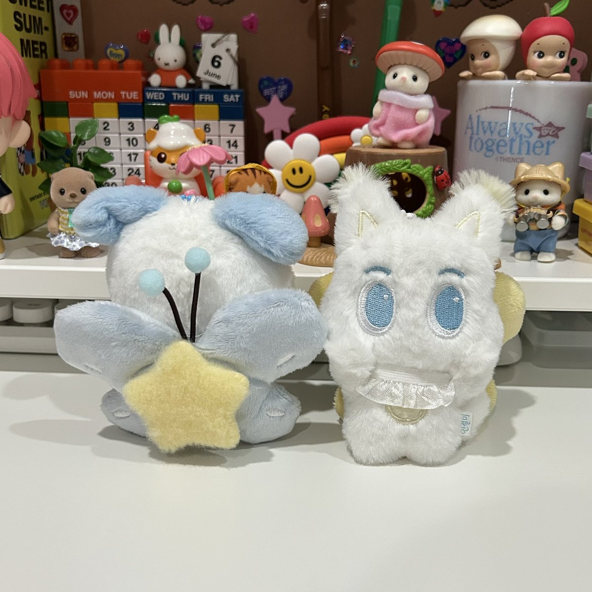 🐶𓂂 ᯓ⭐️⋆˚౨ৎ