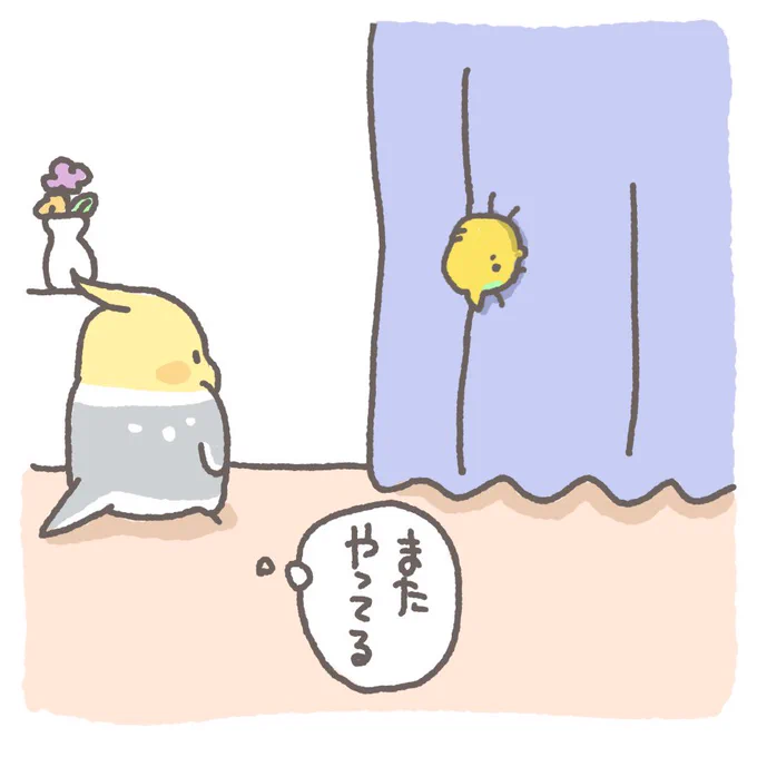 (⁠🍒•⁠ө⁠•⁠)⁠セミシャン 