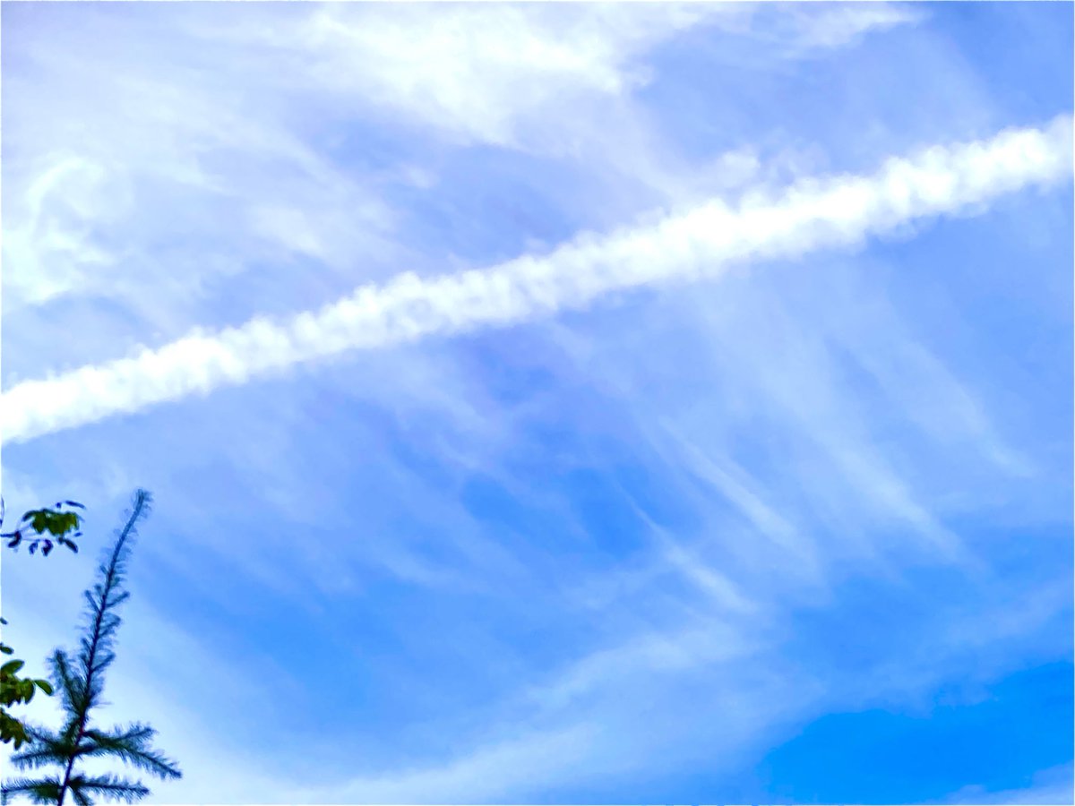 7月の空が

　　美しく詩った日々

今月もありがとう
　　　　ございました

暑さの折　
　　体調にお気をつけて
　　　お過ごし下さいね🎐