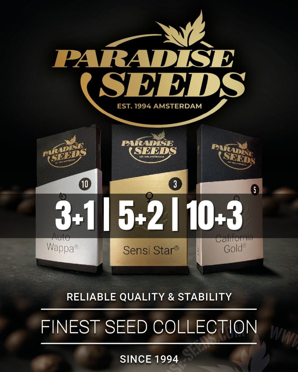 Beautiful Beans Seeds tweet media