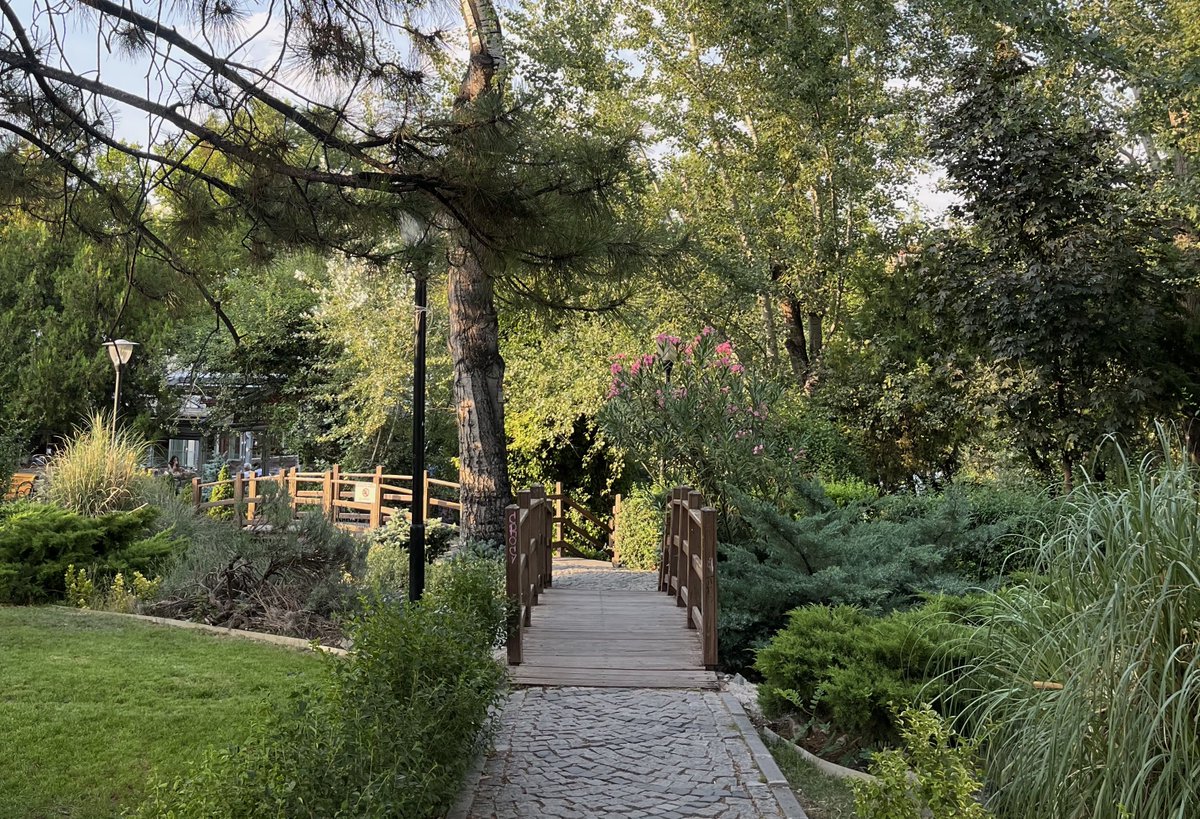 işe giderken her gün buradan geçmek