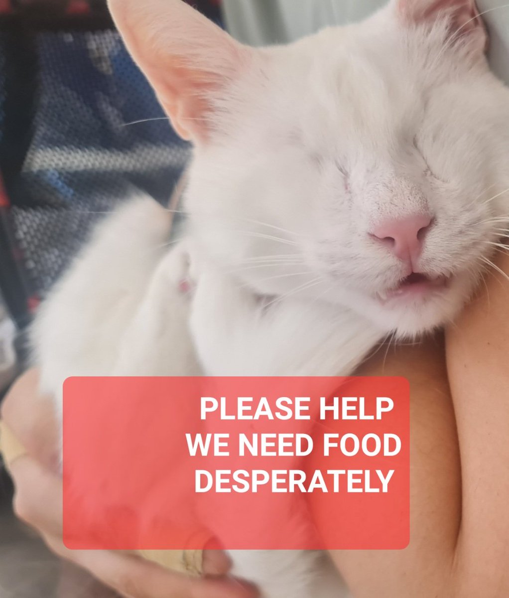 Please Help..... Any amount our Haven is out of supplies

PayPal.me/catswithnohope