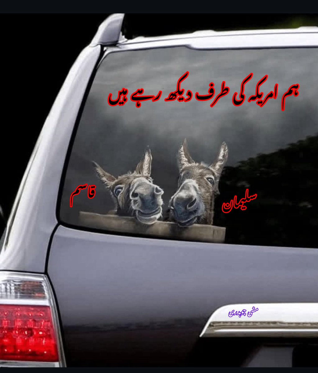 ایک مخصوص نسل نے گاڑیوں کہ پیچھے لِکھوانا شروع کر دیا
😂